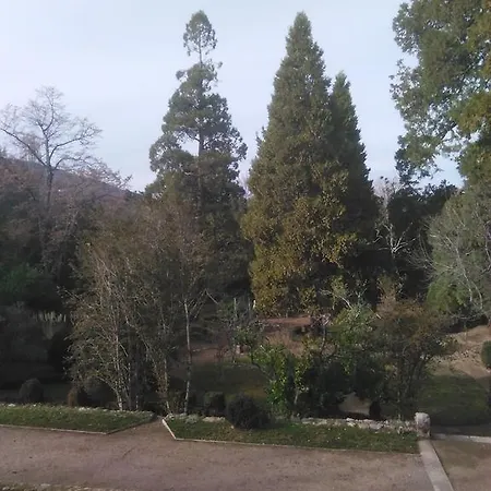 Turnat Bejar