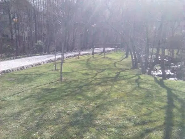 게스트하우스 Turnat 베하르