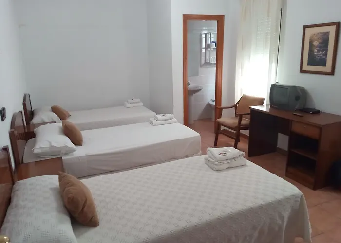 게스트하우스 Turnat 베하르